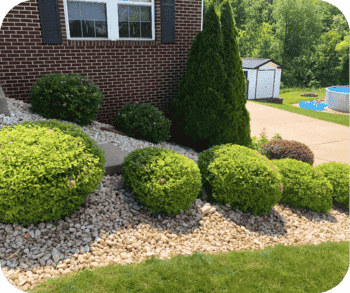 Landscaped garden with neatly trimmed shrubs and decorative stone mulch along a brick house, adjacent to a driveway.